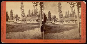 Big Tree Station, Mariposa Grove by Carleton E. Watkins